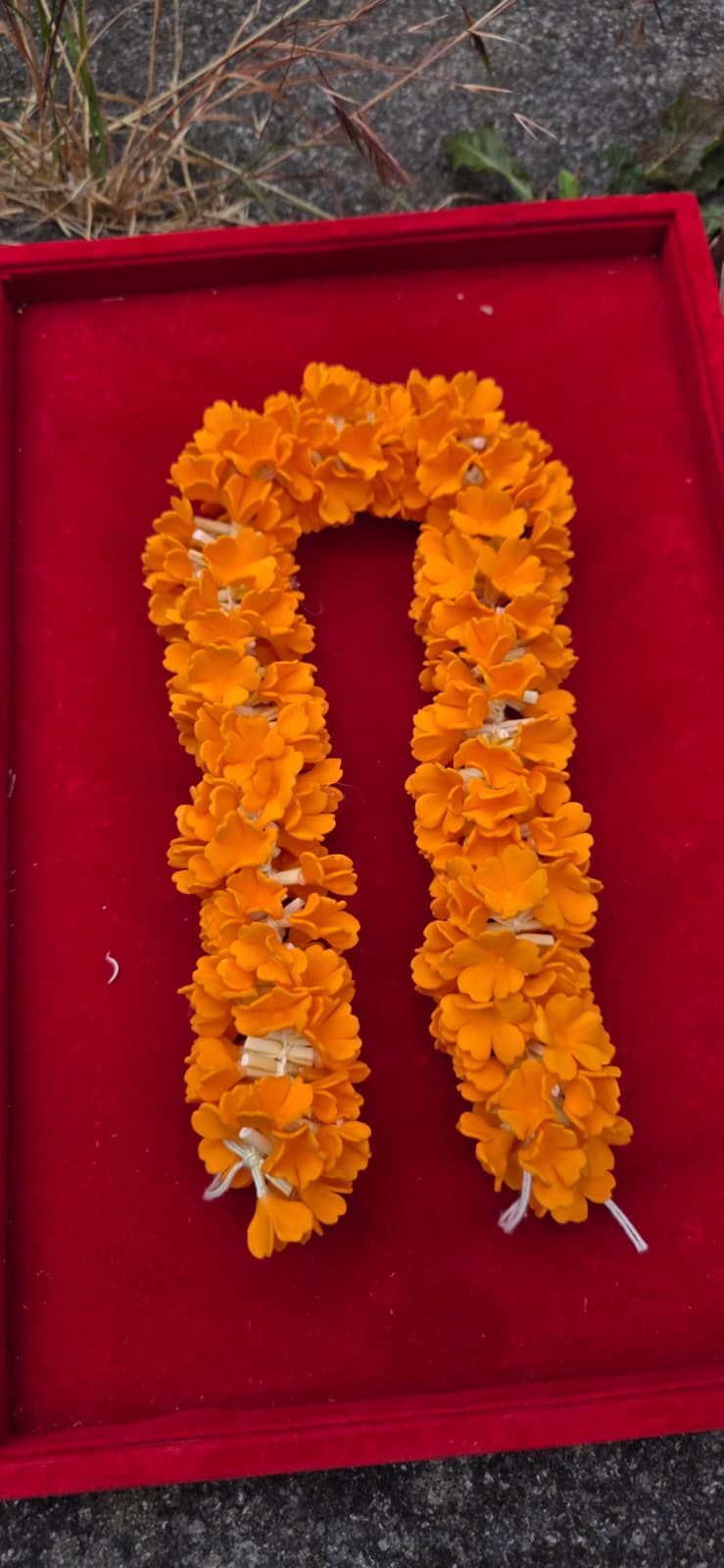 Kanakambaram