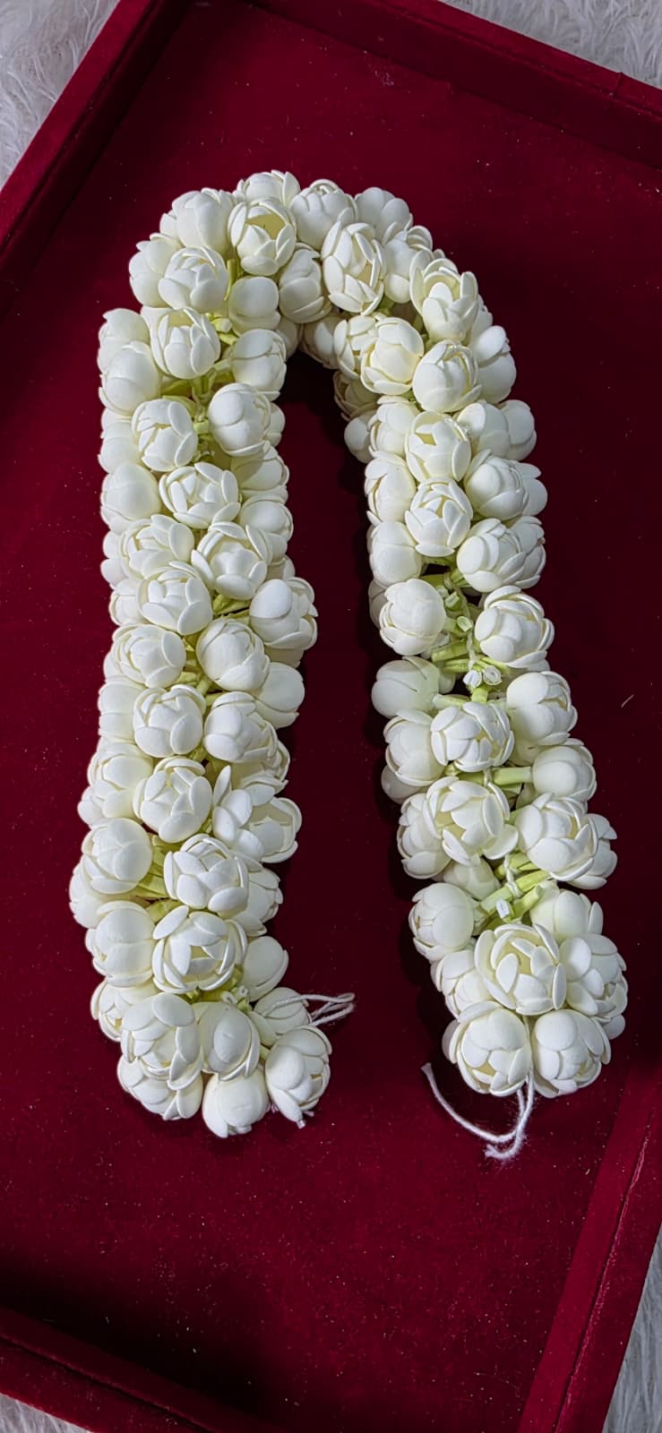 Foam Jasmine with Clip